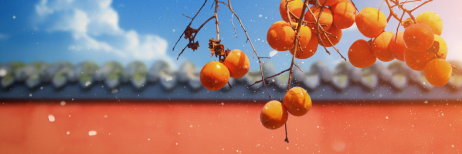 霜降 | 寒霜冬將至，補(bǔ)陽須及時(shí)