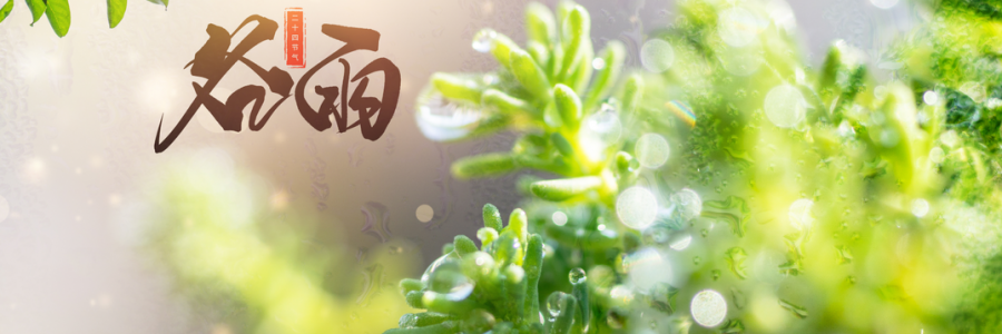 谷雨丨雨生百谷，人間向暖