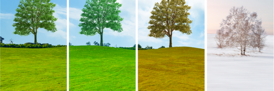 讀懂五臟五行與四季的關(guān)系，養(yǎng)生才算入門……