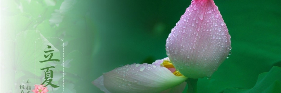 立夏 | 滿園芳立，夏色初染