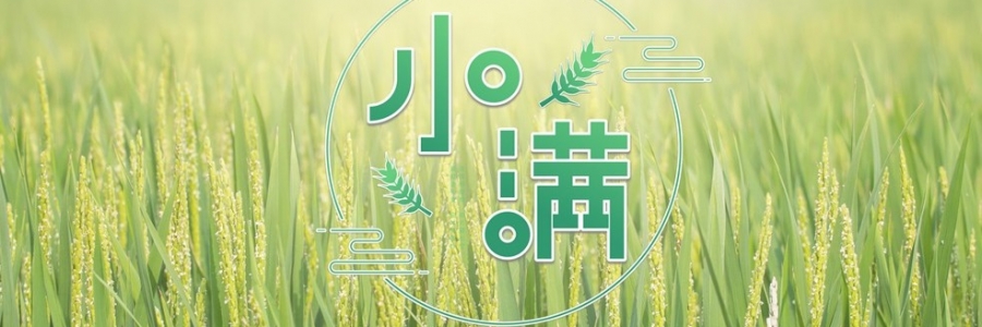 小滿 | 萬物漸豐，小得盈滿