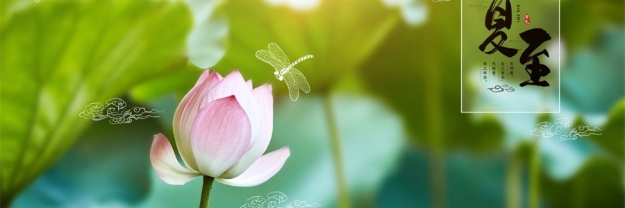 夏至 | 陽(yáng)極陰生，美好日長(zhǎng)