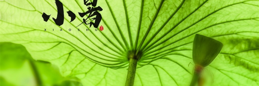 小暑 | 暑熱如歌，心靜生涼