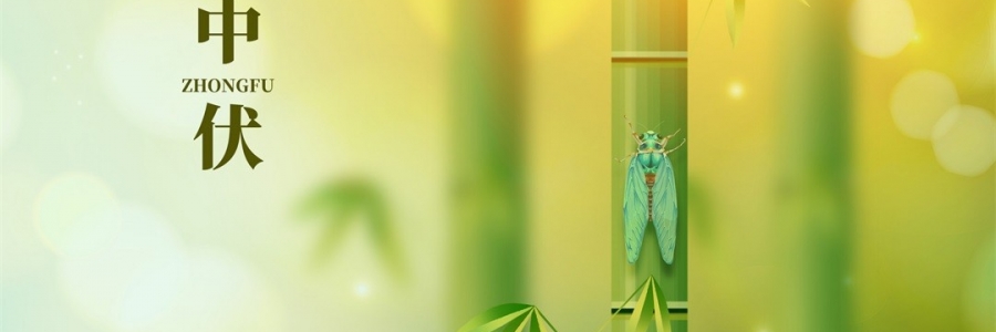 不想越扎越深？ 中伏拔病根，不做病床人！