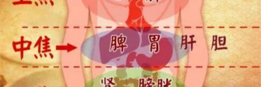 突破600億播放量的《羅剎海市》，竟然還暗藏中醫(yī)奧秘？