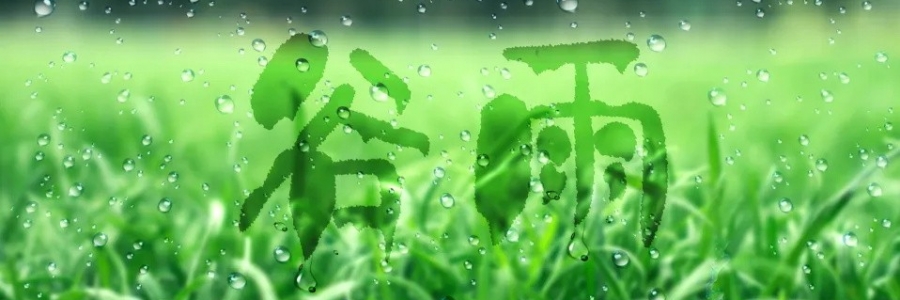 谷雨丨健脾祛濕，安然迎夏