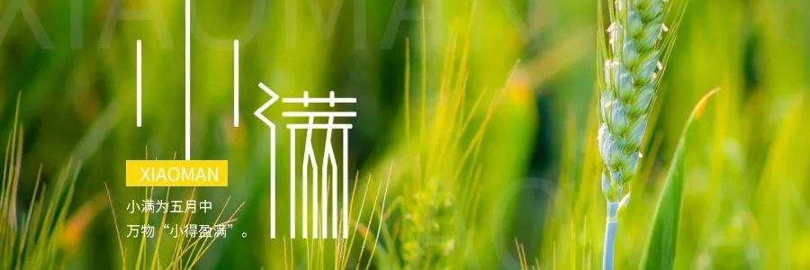 小滿丨小得盈滿，平安入夏