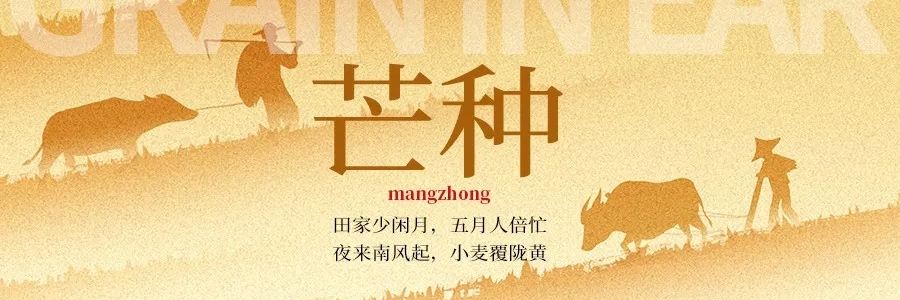 芒種丨“芒”有所獲，“種”有所得