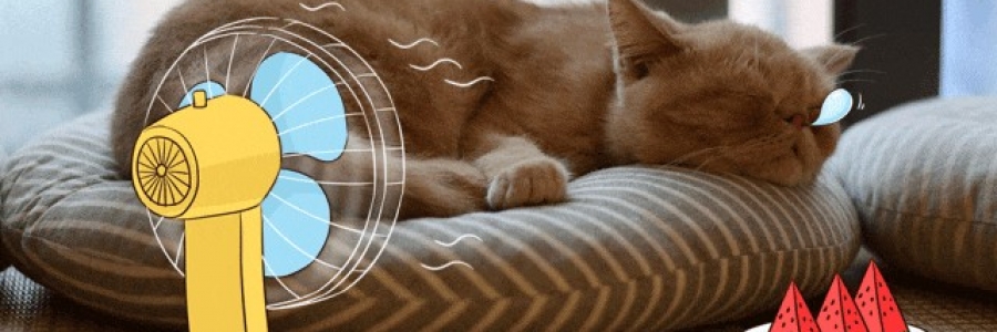 越睡越困的夏天，一個(gè)穴位趕走疲倦……