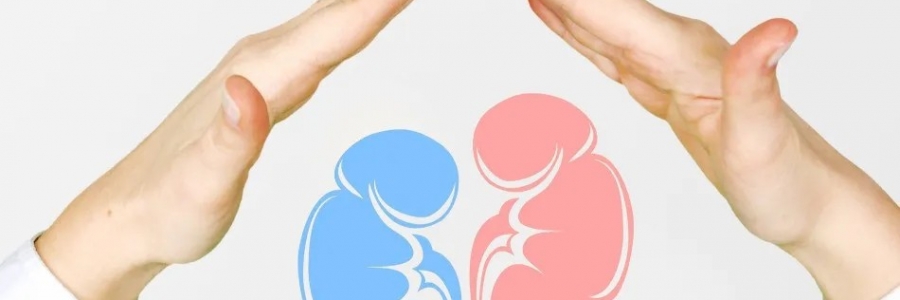 兩個人體的“長壽穴”，每天揉一揉，健康又長壽