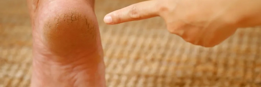 每天跺跺腳，從腳養(yǎng)到頭，越跺越年輕！