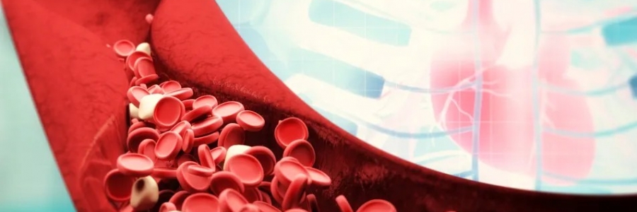 萬病皆生于瘀，愛生病的人小心這三種“瘀毒”