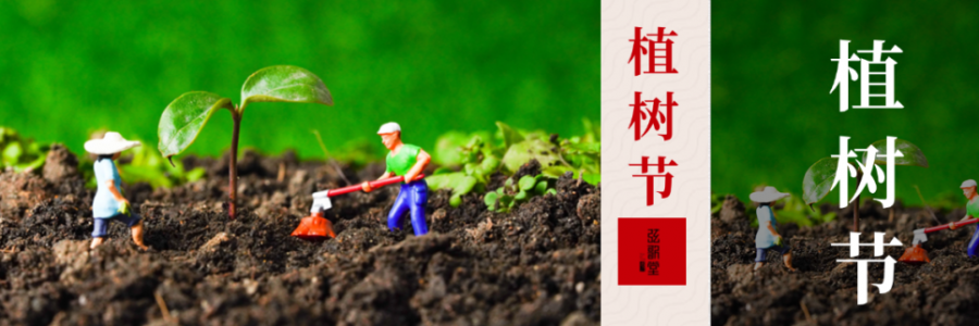 外植綠樹，內(nèi)養(yǎng)肝木，別忘給身體也“種下”護(hù)肝種子！