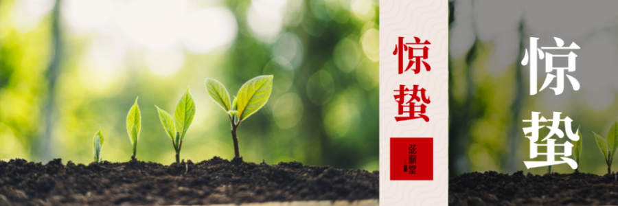 驚蟄 | 驚起春潮，蟄動(dòng)萬(wàn)物